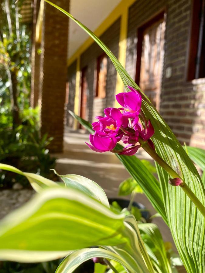 Pousada Aruana Hotel Porto Seguro Luaran gambar